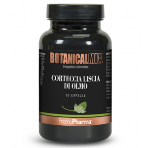 corteccia liscia olmo botanica bugiardino cod: 974032575 