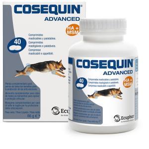 Cerca Prezzi di cosequin advanced cane 40 compresse e acquista online