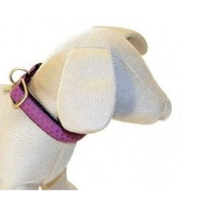 Cerca Prezzi di croci collare mylord similpelle regolabile viola 10mmx20/30cm (ref. c5080072) e acquista online