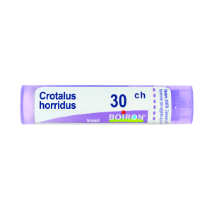 crotalus horridus 30ch gr bugiardino cod: 800373399 