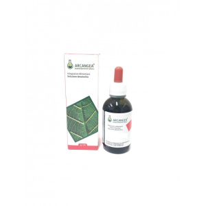 curcuma biologica sol ial 50ml bugiardino cod: 926393392 