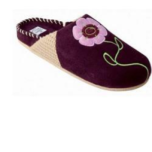 DELICACY MICR/RIC VI 40