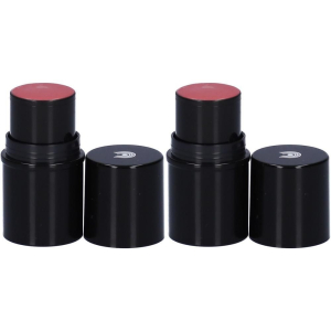 Compra Online dr. hauschka lip to cheek 03 rosewood 2x6,1 g e Trova il miglior prezzo