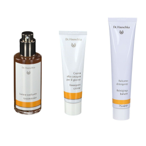 Compra Online dr. hauschka wala kit pelle normale 1 pz set e Trova il miglior prezzo