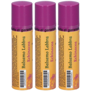 Compra Online dr. theiss balsamo labbra echinacea 3x5,7 ml e Trova il miglior prezzo