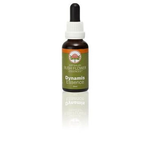 Compra Online dynamis 30 ml 1 pezzo e Trova il miglior prezzo
