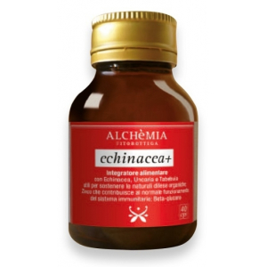 alchemia echinacea+ 40 capsule bugiardino cod: 924959024 