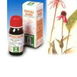 echinacea 59 50ml tm bugiardino cod: 909310029 