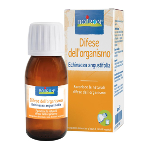 echinacea angust 4ch gr bugiardino cod: 800543225 