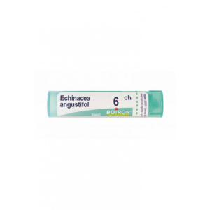 echinacea angust 6ch gr bugiardino cod: 800863704 