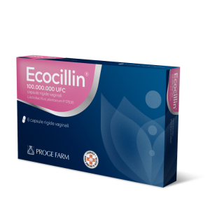 ecocillin 6 capsule vaginali rigide bugiardino cod: 035598034 