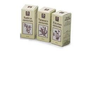 elicriso estr analco 50ml 793 bugiardino cod: 910328501 