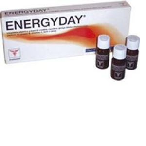 energyday 7fl 104,2g bugiardino cod: 902540640 