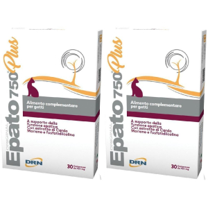 Acquista Online epato® 750 plus 2x30 pz compresse e Cerca l'offerta più bassa