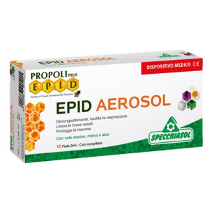 epid aerosol 10fx2ml bugiardino cod: 980515959 