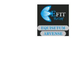 equisetum arvense estr fl 30ml bugiardino cod: 910296514 