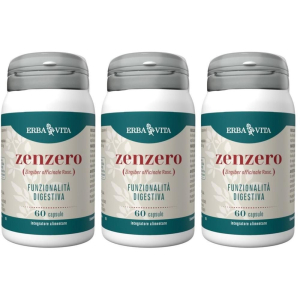 Acquista Online erba vita zenzero capsule 3x30 g e Cerca l'offerta più bassa