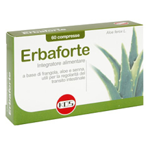 erbaforte 60 compresse bugiardino cod: 923018360 