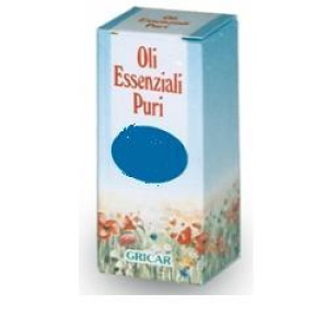 eucaliptus olio ess 250ml bugiardino cod: 900097837 