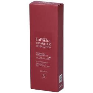 Acquista Online Euphidra lip art duo rosa cipria rossetto pennarello + glassy gloss 1 e Cerca l'offerta più bassa