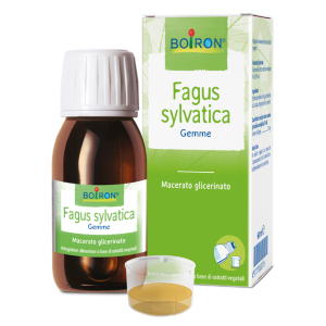 fagus sylvatica mg 60ml intensivo bugiardino cod: 977701073 