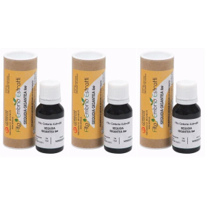 Compra Online fee sequoia gigantea 15 ml 3x15 ml soluzione orale e Trova l'offerta più bassa