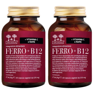 Compra Online ferro + b12 salugea - integratore e vitamina capsule set d e Trova l'offerta più bassa