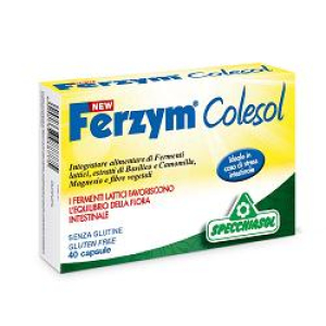 ferzym colesol 40 capsule new bugiardino cod: 924754866 