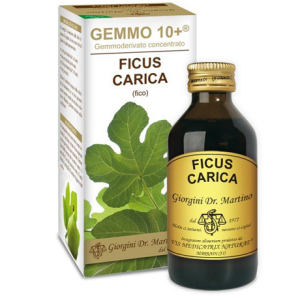 fico 100ml liquido analc gemmo 10+ bugiardino cod: 924266760 