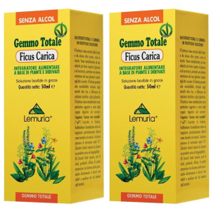 Compra Online ficus carica soluzione 2x100 ml orale e Trova l'offerta più bassa