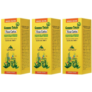 Compra Online ficus carica soluzione 3x100 ml orale e Trova l'offerta più bassa