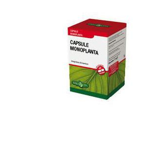 erba vita capsule monoplanta finocchio bugiardino cod: 901293340 