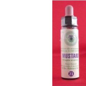 FIORI DI BACH MUSTARD 10ML