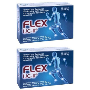 Compra Online flex uc ii 30 capsule da 500 mg 2x30 pz e Trova l'offerta più bassa