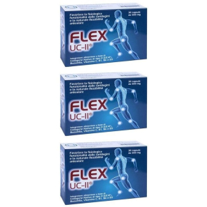 Compra Online flex uc ii 30 capsule da 500 mg 3x30 pz e Trova l'offerta più bassa