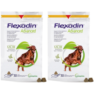 Compra Online flexadin advanced cane tutte le taglie 30 tavolette appetibili 2x90 g e Trova l'offerta più bassa