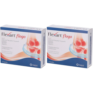 Compra Online flexart flogo bustine set da 2 2x63 g polvere per soluzione orale e Trova l'offerta più bassa