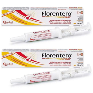 Compra Online florentero fast siringa dosatrice da 15 ml in astuccio 2x15 ml pasta e Trova l'offerta più bassa