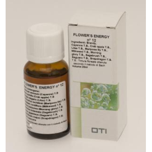 flower s energy 12 gtt20ml bugiardino cod: 902566153 