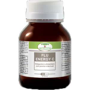 flu energy c 60 capsule bugiardino cod: 904218613 