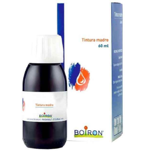 foeniculum v 60ml tm bugiardino cod: 900524531 