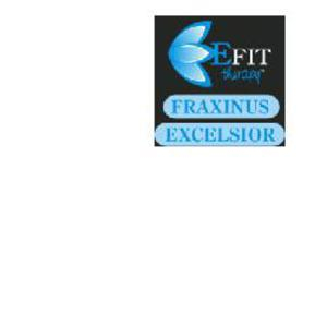 fraxinus excel estr fl 30ml bugiardino cod: 910381817 
