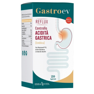Gastroev reflux soluzione orale 240 ml orale