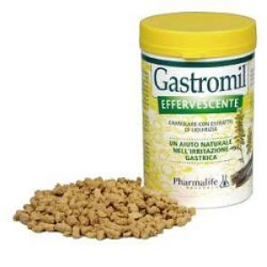 gastromil effervescente 100g bugiardino cod: 904756246 