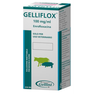 gelliflox*fl 250ml 100mg/ml bugiardino cod: 104123029 