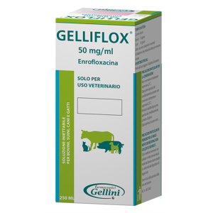 gelliflox*fl 250ml 50mg/ml bugiardino cod: 104124021 