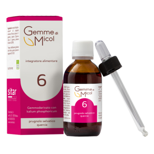 Gemme di micol soluzione idrogliceralcolica 6 30 ml