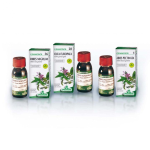 gemmosol 27 ginepro 50ml bugiardino cod: 909309130 