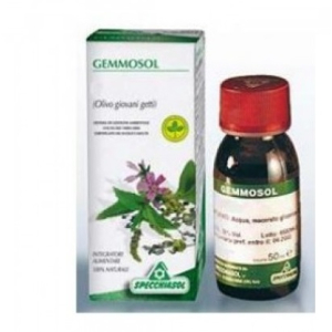 gemmosol 6 vite vergine 50ml bugiardino cod: 909308924 