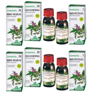 Acquista Online gemmosol linfa di betulla set da 2 2x50 ml e Cerca il miglior prezzo